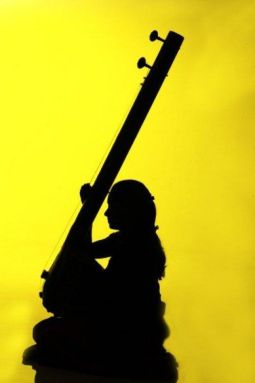 shadow_indian_tanpura
